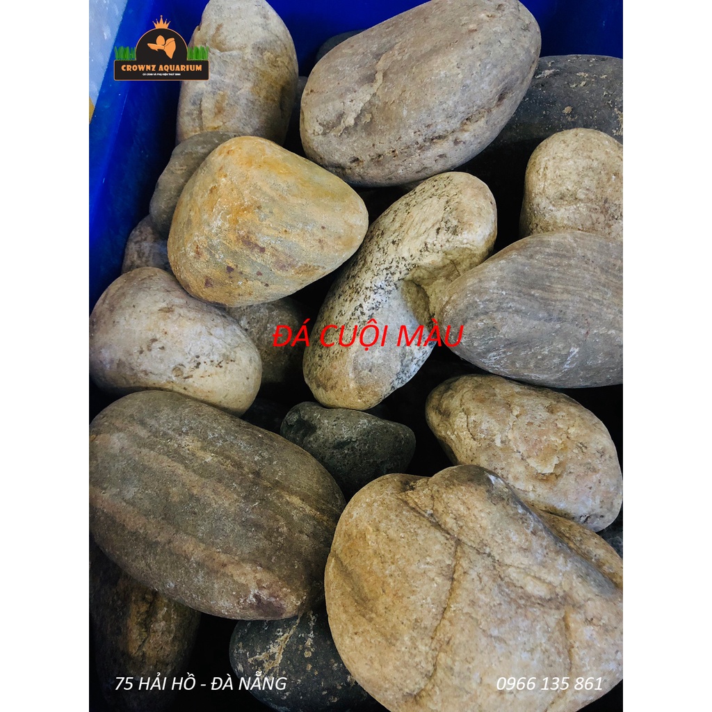 ĐÁ ĐEN GIA LAI - TIGER - NHAM XANH - KẸP KEM - VĨA - DA VOI - CUỘI MÀU - CUỘI ĐEN - CỘI ĐEN