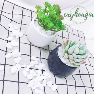 Chậu men sứ mini dáng bầu (không kèm cây) 1084
