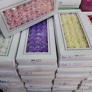 Compo ruy băng và 2 ống hướng dương