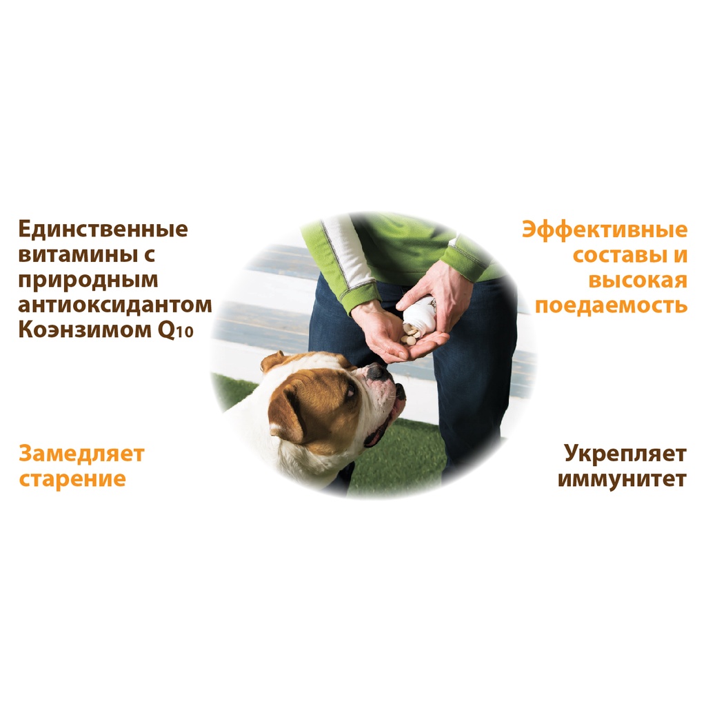 100v - Immuno Complex Vitamin và khoáng chất cho chó nhỏ Unitabs cho khả năng miễn dịch hàng nhập Nga Neoterica