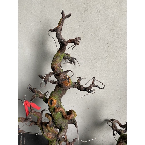 Gốc Bonsai, thân cây giả dáng Trực thẳng 60-65cm, làm hoa mai đào trang trí nhà,đón tết
