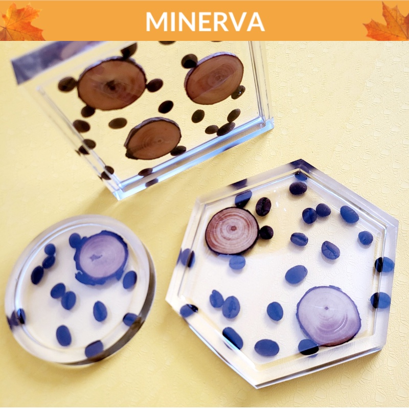 Set 3 ĐẾ LÓT LY resin gỗ và cafe làm thủ công dùng làm quà tặng handmade, trang trí nhà cửa