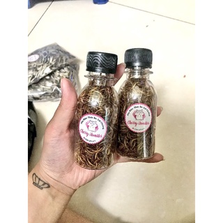 Sâu rang thơm dành cho chim, hamster 5g,10g,50g