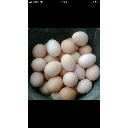 10 trứng gà quê sạch thơm ngon bổ dưỡng