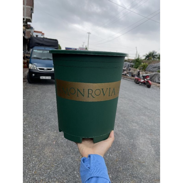 Chậu nhựa MON- GAL trồng hoa, cây cảnh  đủ size