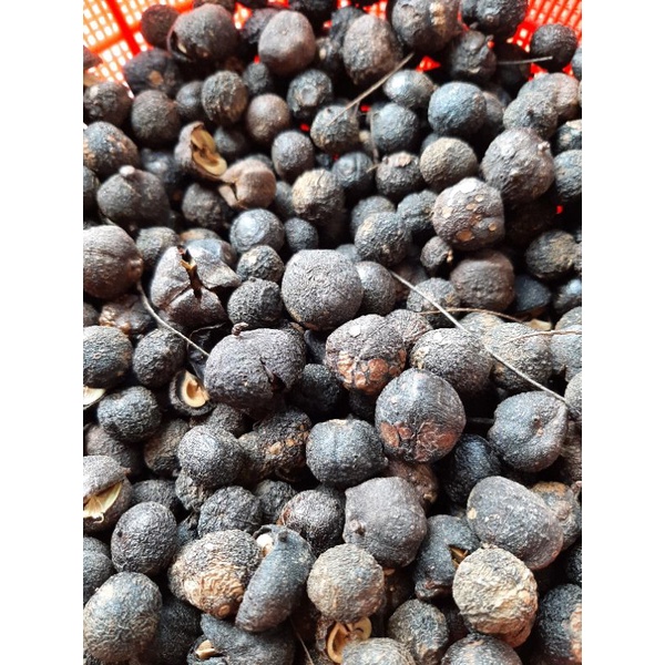 100g me rừng sấy khô