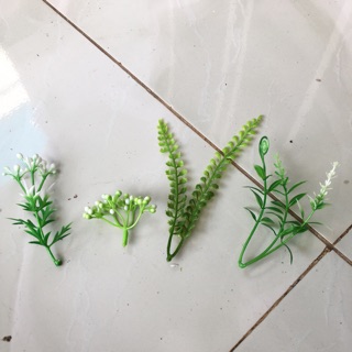 1 kg cỏ điểm các loại đã nhặt sạch