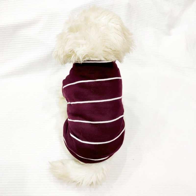 Áo thun mùa hè thời trang dành cho thú cưng, Quần áo dành cho chó mèo LaLi Petfashion