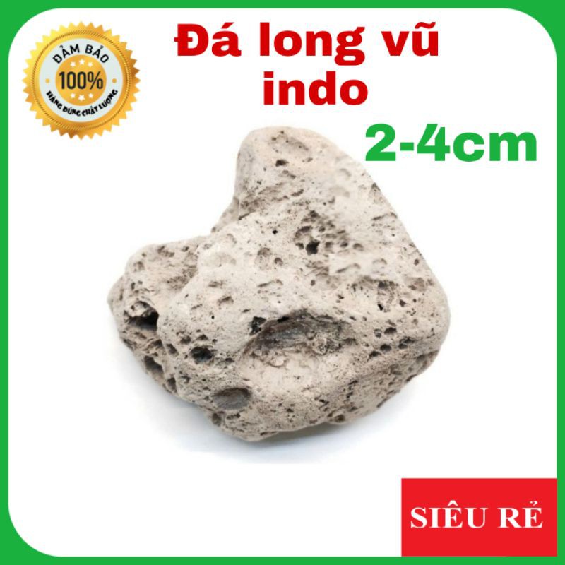 đá long vũ indo, nham thạch trắng 2-4cm 1kg- vật liệu lọc