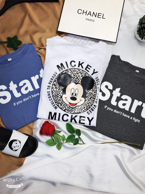 [70] [HÌNH THẬT]áo thun nữ ⚜️FREESHIP⚜️ Thun Nữ Hàng Unisex Phông Nữ Quảng Châu [Thun Nu] | BigBuy360 - bigbuy360.vn