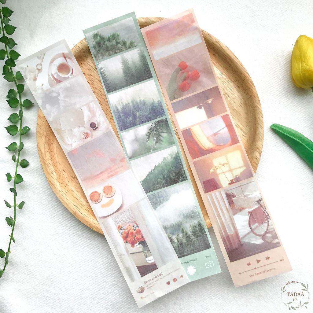 Sticker vintage hoa tulip đỏ, coffee, cây thông và bầu trời trang trí