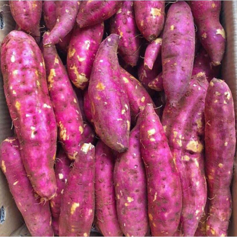 Khoai lang Nhật ruột vàng dẻo thơm 1Kg