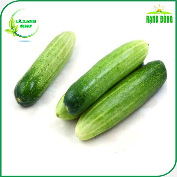Hạt giống Dưa Leo F1 Trái Dài, Giòn Ngọt, Trồng Quanh Năm (gói 1 gram) - Hạt giống Rạng Đông