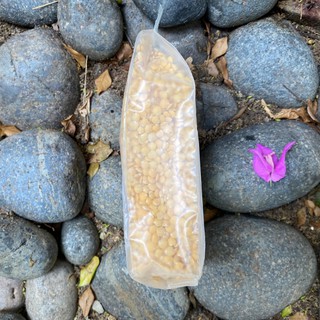 Đậu lăng vàng Sottolestelle 500g