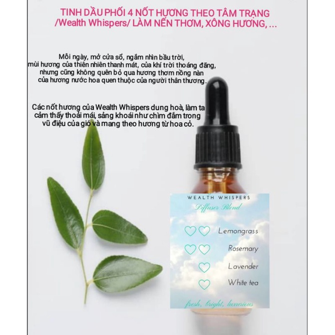 Tinh dầu phối 4 nốt hương theo tâm trạng /Weath Whispers/ làm nến thơm, xông hương, ... - 9293store - 9293nguyenlieu