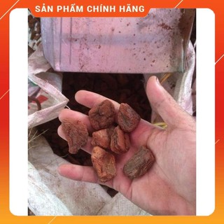1kg vỏ thông xay 2-3cm.