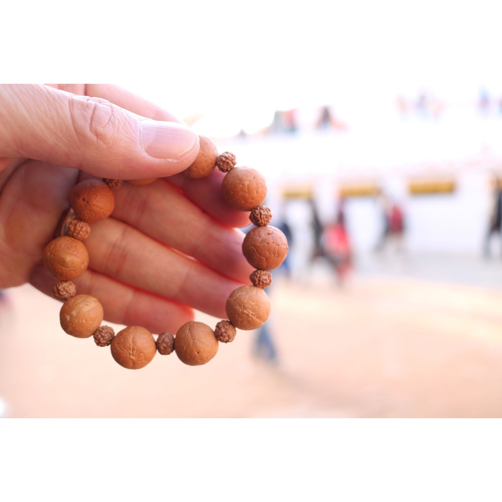 Vòng tay bồ đề tự nhiên mắt Phật (Phật nhãn) 14mm và Kim Cang 8-10mm Nepal- Nepali Handmade Mixed Natural Bead Bracelet