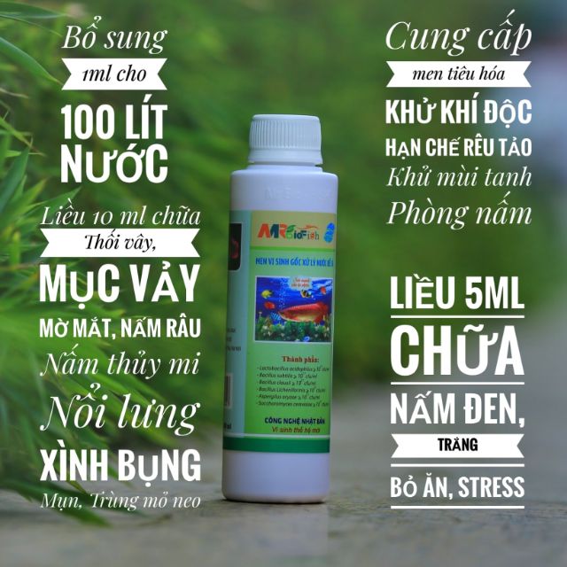 Men vi sinh gốc Mr Bio