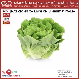 Hạt Giống Xà Lách Chịu Nhiệt F1 Italia (5gr) - Giống chịu nhiệt tốt, độ đồng đều cao