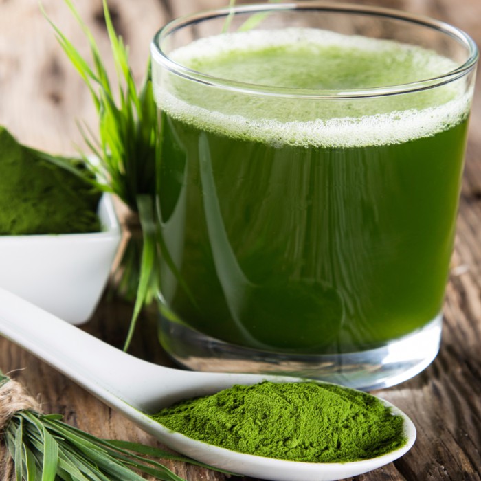 Bột lúa non, bột lúa mạch Nhật Bản 44 gói[Date 3/2023] | BigBuy360 - bigbuy360.vn