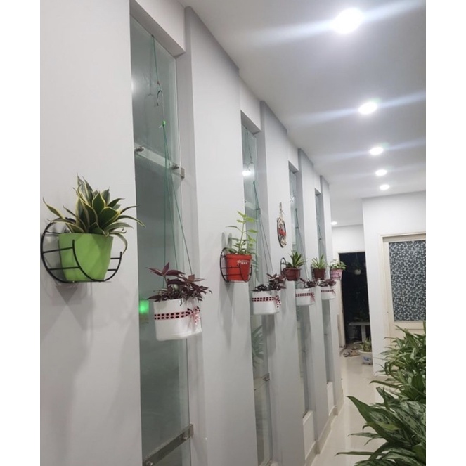 Kệ Dán Treo Tường - Trang trí Nhà cửa - Để Hoa cảnh, Khung ảnh, tượng...