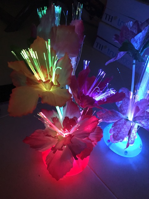 Chậu hoa led phát sáng đổi màu siêu đẹp