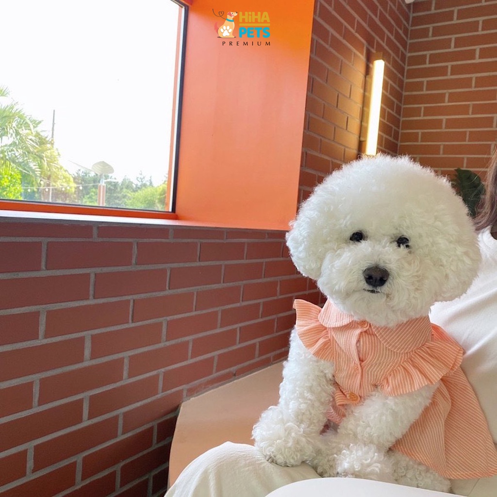 Váy Cho Cún Mèo Dễ Thương Mát Mẻ Mùa Hè Mùa Xuân Quần Áo Thú Cưng Cao Cấp Hàn Quốc Hiha Pets Tông Trắng.