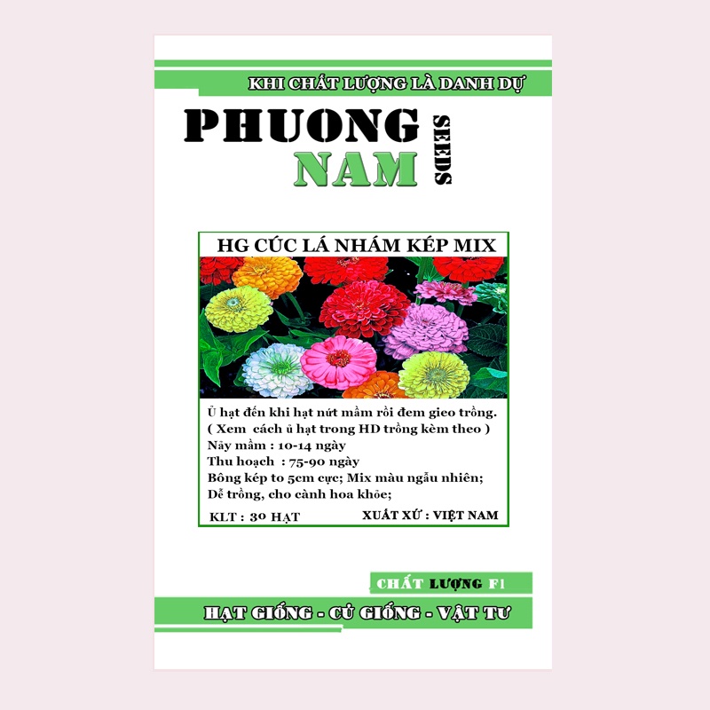 30H - HẠT GIỐNG HOA CÚC LÁ NHÁM KÉP MIX