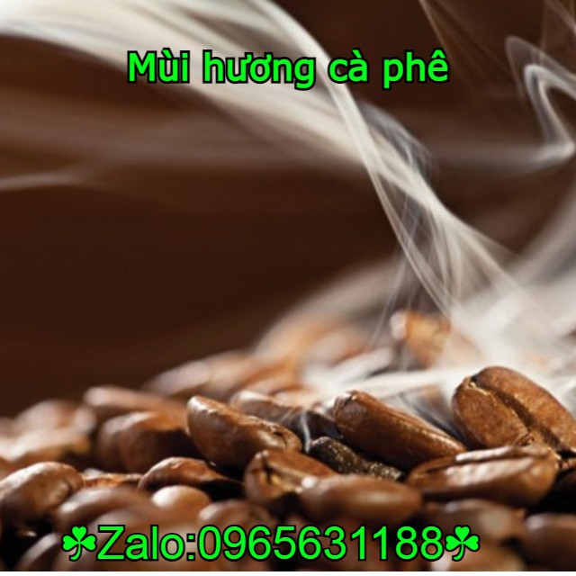 Chai xịt khử mùi ô tô hương cafe sữa hàn quốc air HƯƠNG HAZELNUT 370ml