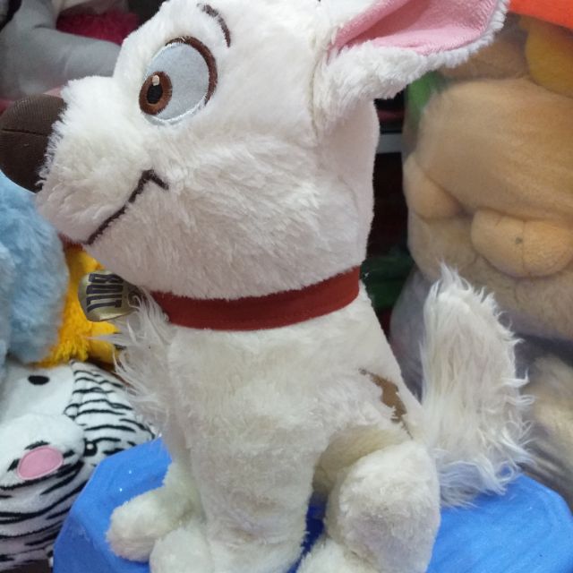 Gấu bông T Tú
