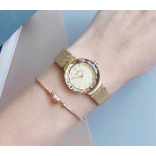 Đồng hồ nữ Skagen 456SGSG