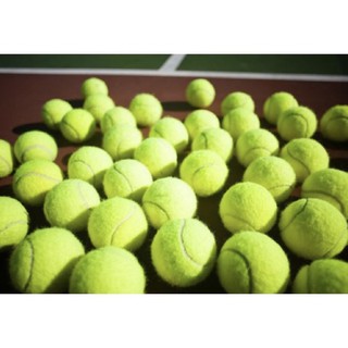 Bóng tennis củ 1 trái