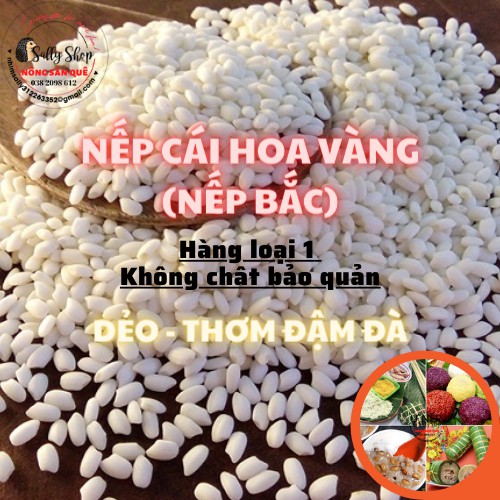 1Kg Gạo Nếp Cái Hoa Vàng - Nếp Bắc Hạt Tròn Dẻo Ngọt Xôi Mềm Thơm Ngon - Nông Sản Quê
