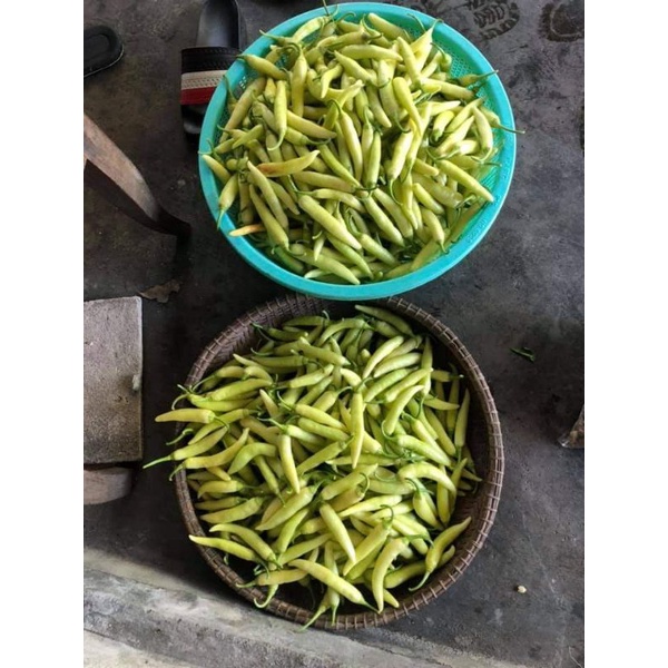 Ớt xanh rất cay và thơm,ớt Huế 500gram, dùng ăn phở