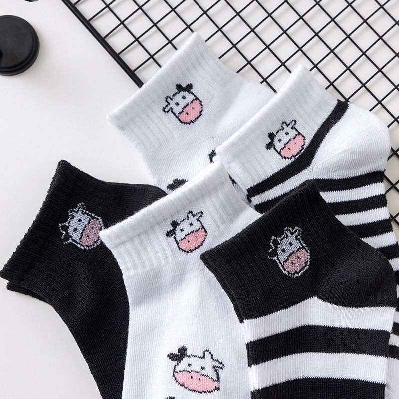 Vớ Tất Nữ Cotton Thoáng Mát Mẫu Mã Đa Dạng Hot Trend Năm 2021