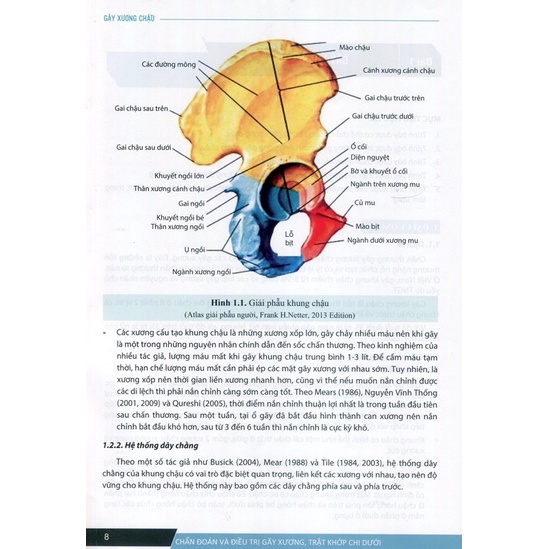 Sách - Chẩn đoán và điều trị gãy xương trật khớp chi dưới