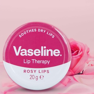 Dưỡng môi Vaseline Lip Therapy Rose 20g