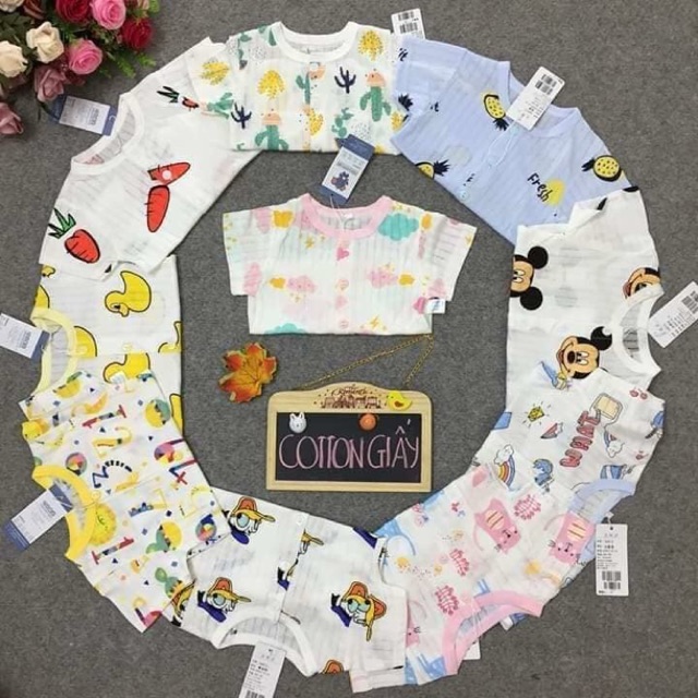 Cotton giấy qc