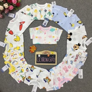 Cotton giấy qc