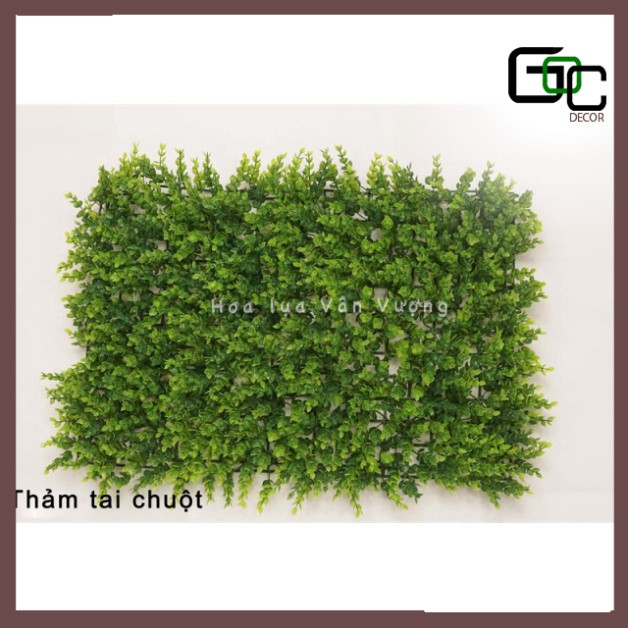 Thảm cỏ tai chuột 🌺FREESHIP🌺 Giảm 10k Khi Nhập [ HOA LUA ] nhựa pvc trang trí, thảm cỏ nhân tạo Sỉ Lẻ