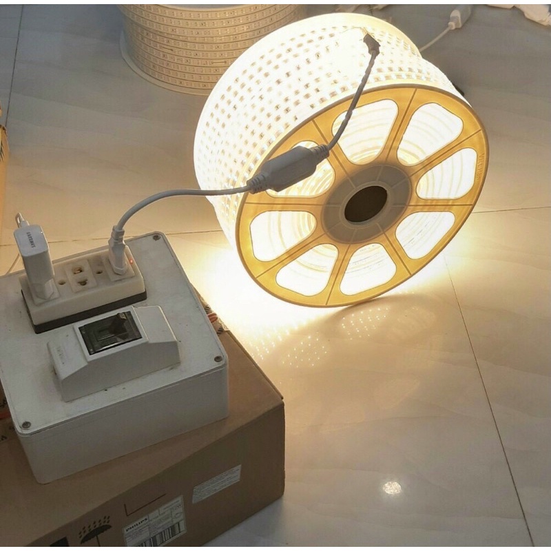 Đèn led dây đôi 2835 siêu sáng trang trí, led dây kín nước trang trí ngoài trời quy cách 5m