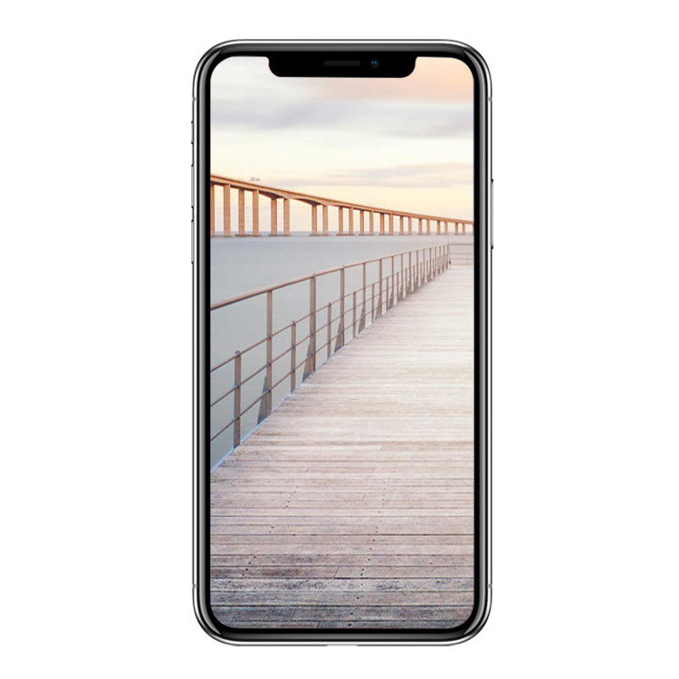 Kính cường lực Full màn hình Sư Tử 9D cho các dòng iPhone từ 6 đến 14 Pro Max (Full hộp)
