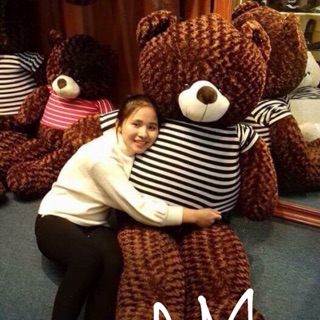 Gấu bông teddy áo khổ vải 2m