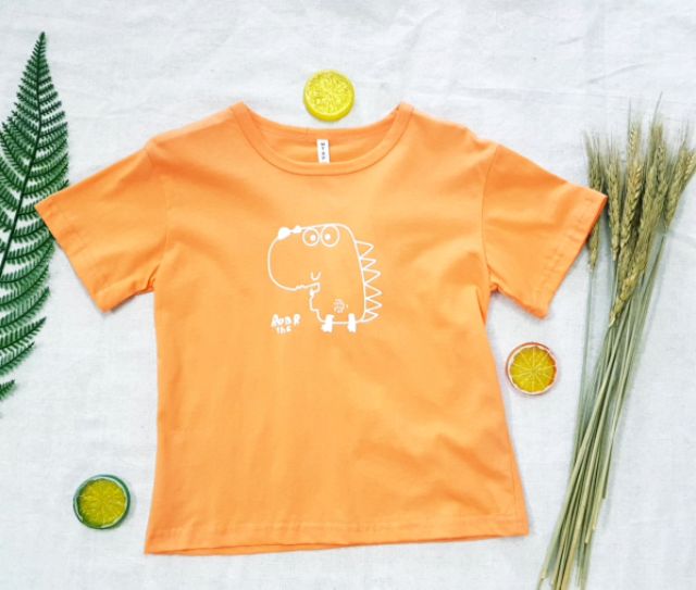SALE - Áo phông Hàn - Chất mát, hình cute cho bé trai, gái dưới 5 tuổi