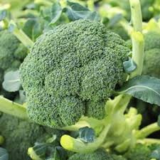 Gói đóng hạt giống súp lơ mix