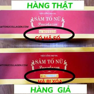 SÂM TỐ NỮ (chính hãng kohinnor)