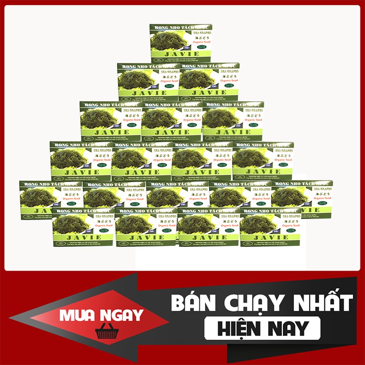 {Tặng 1 Chai Nước Chấm Mè Rang} + Hộp 120g/250g Rong Nho JAVIE - Rong Nho Tách nước - Ứng dụng công nghệ Nhật Bản