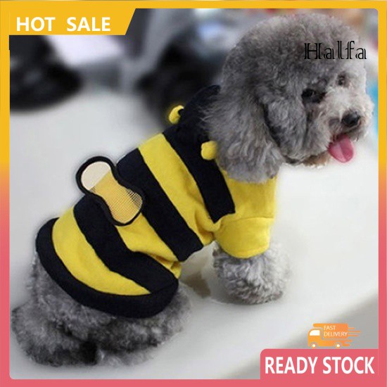 Áo Hoodie In Chữ Rxcw Dễ Thương Cho Thú Cưng