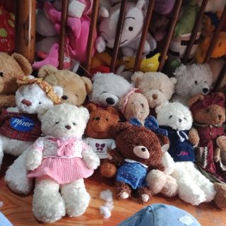 Gấu bông Nga thành