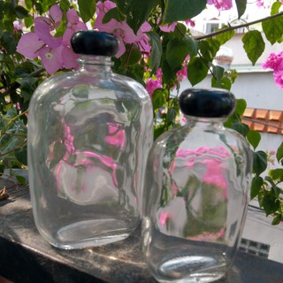 Chai thủy tinh đựng nước 100 - 250ml